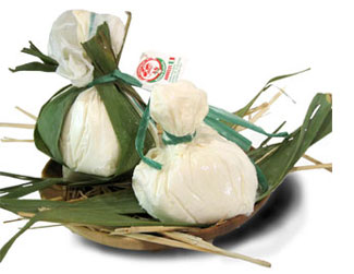 Burrata