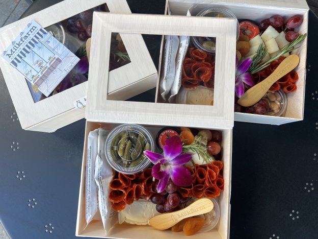 three picnic boxes open to display the contents inside.